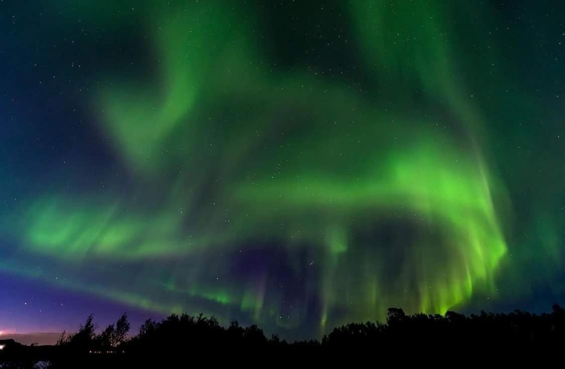 Campingplatz Northern Light Huts - Paradise Lapland *