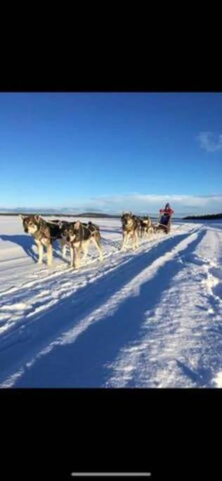 Campingplatz Northern Light Huts - Paradise Lapland