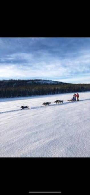 Northern Light Huts - Paradise Lapland *