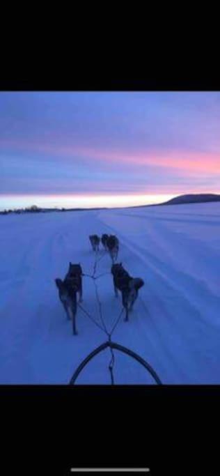 Northern Light Huts - Paradise Lapland Kiruna